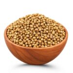 Coriander Solid Bowl