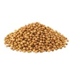 Coriander Surface