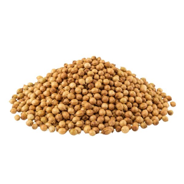 Coriander Surface